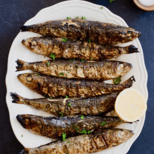 Sardines