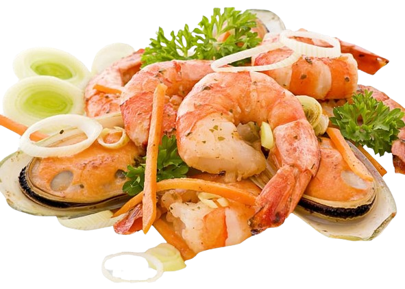 halal restaurant in porto-sea food